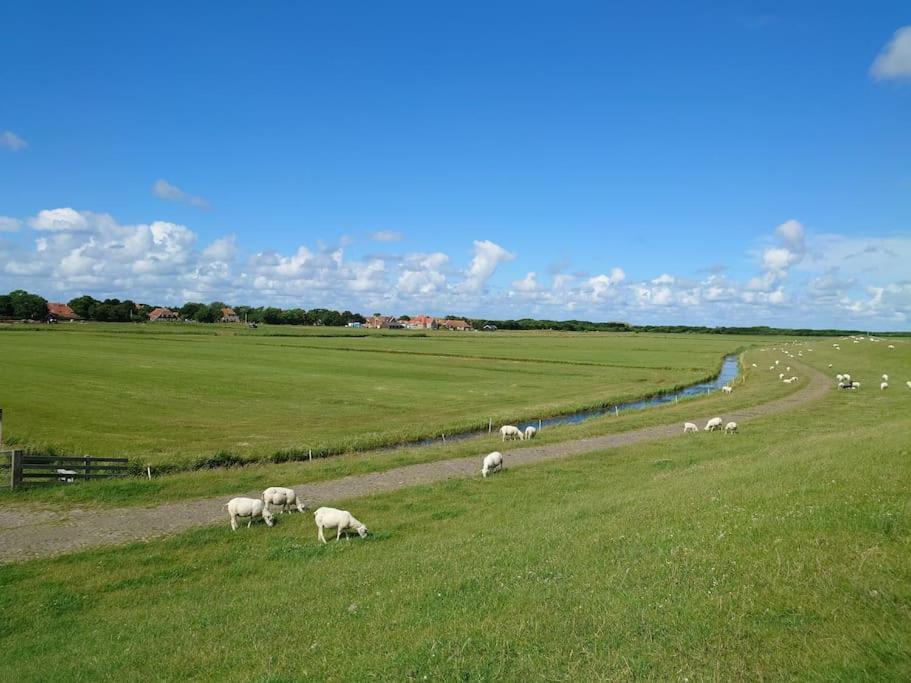 De Oostkamer; Eiland Appartement Naast Natuurgebied Boschplaat Oosterend  Eksteriør billede