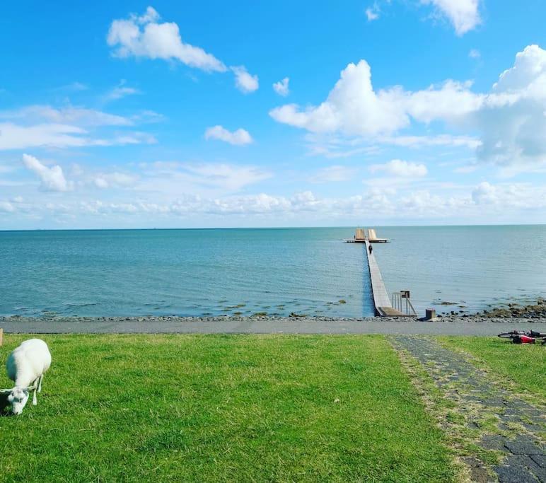 De Oostkamer; Eiland Appartement Naast Natuurgebied Boschplaat Oosterend  Eksteriør billede